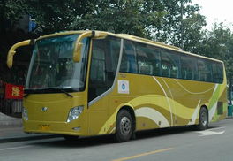 全新53座金龍1300 杭州大巴車出租 杭州租車公