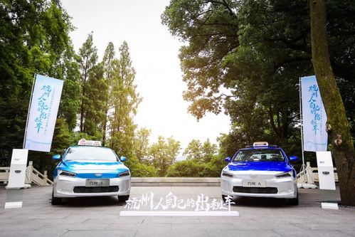 杭州人自己的出租車 2020杭州吉利幾何a出租車行業推廣會圓滿舉行